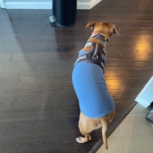 Meet your Posher, Trevor